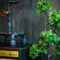 area-gallery_3